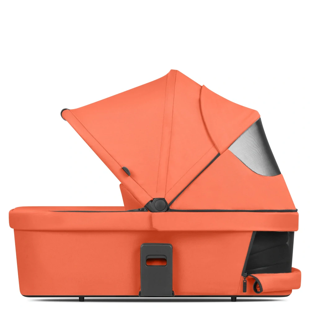 ABC Design Hluboká korba - Carrot 2024